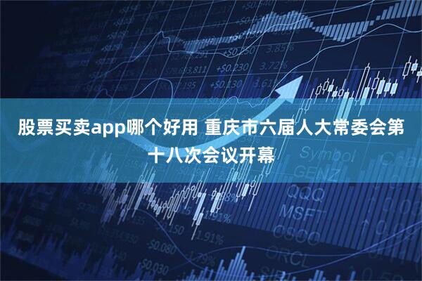 股票买卖app哪个好用 重庆市六届人大常委会第十八次会议开幕