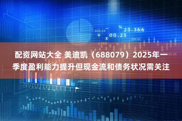 配资网站大全 美迪凯（688079）2025年一季度盈利能力提升但现金流和债务状况需关注