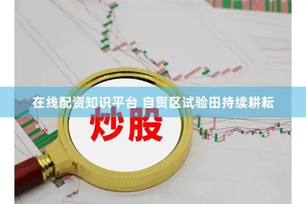 在线配资知识平台 自贸区试验田持续耕耘